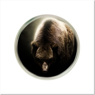 Brown Bear Animal Wild Forest Jungle Nature_ Posters and Art